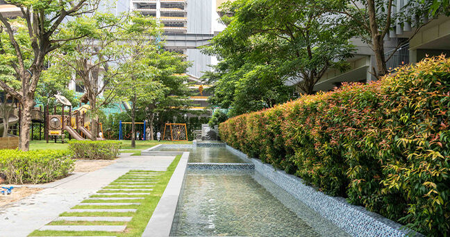Active Outdoor Play